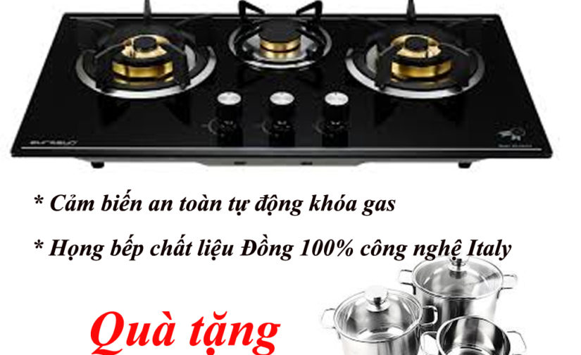 BẾP GA ÂM EUROSUN EU-GA378
