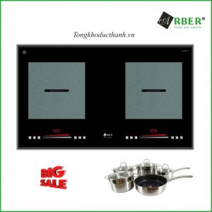 Bếp-từ-Arber-AB553