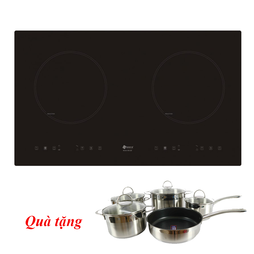 FHT101 Bếp từ Arber FHT101 - Ảnh 1