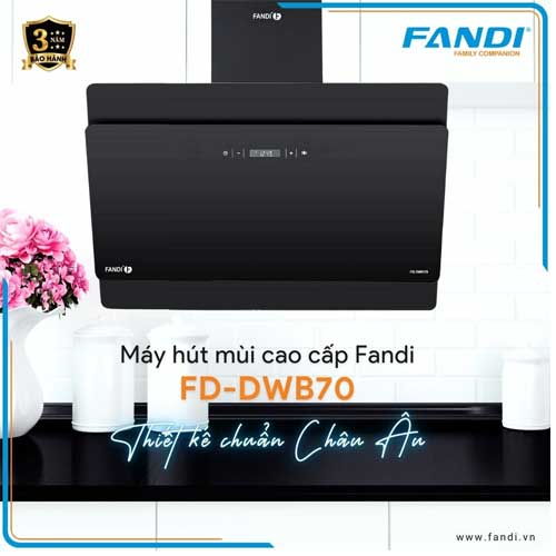 Máy hút mùi Fandi FD-DWB70