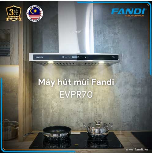 Máy hút mùi Fandi FD-EVPR70