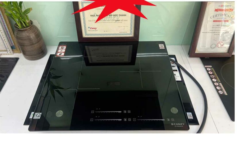 Bếp 3 từ Canzy CZ-PUC631U
