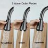 Vòi RL - 688 GREY - Ảnh 2