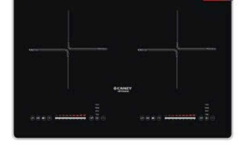 Bếp từ Canzy PM605X